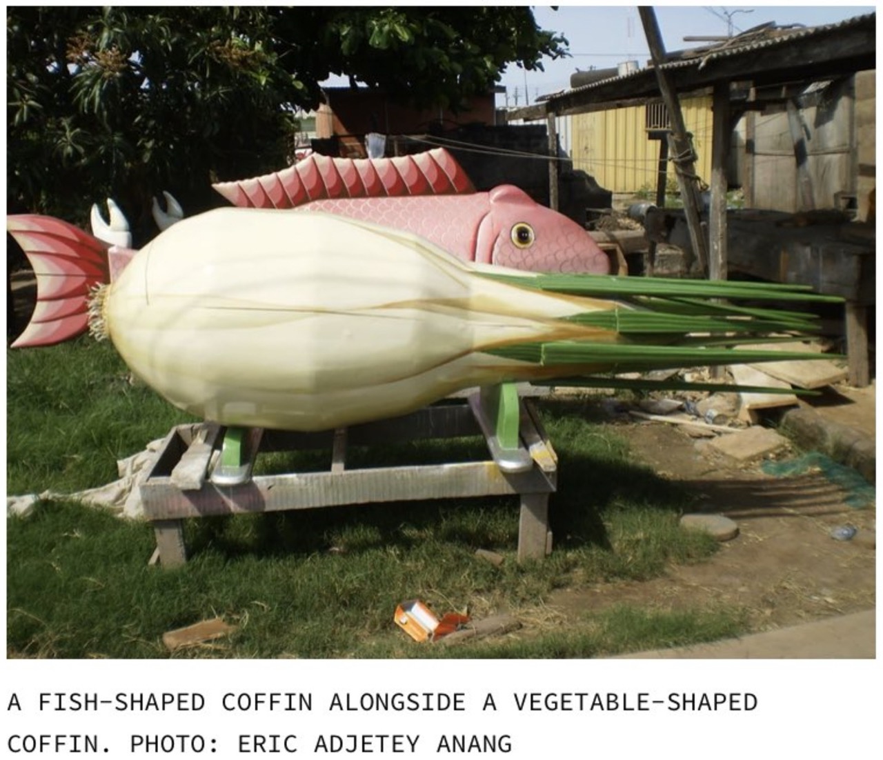 baidarka - A FishShaped Coffin Alongside A VegetableShaped Coffin. Photo Eric Adjetey Anang